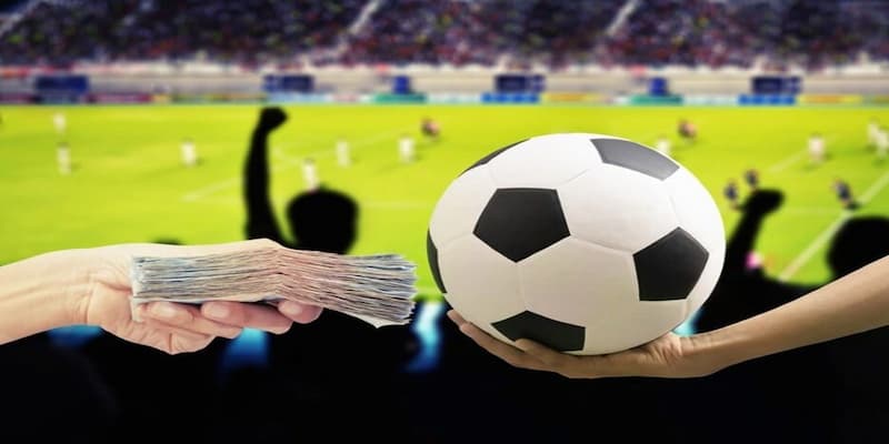 kinh nghiệm chơi cá độ bóng đá Giới thiệu đôi nét về cá cược bóng đá