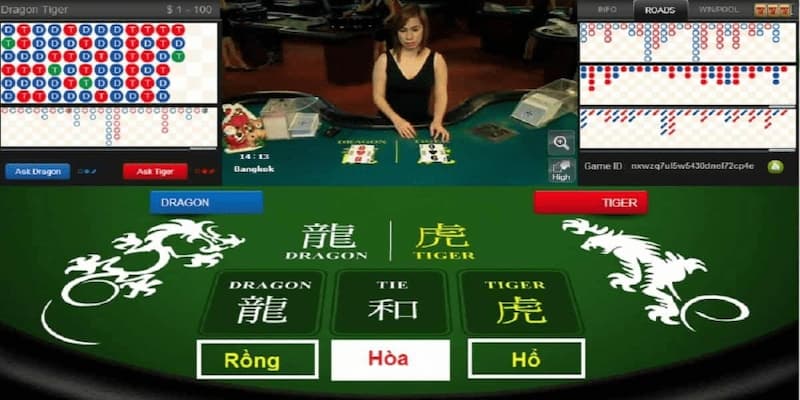 Rồng hổ Bí quyết cược rồng hổ từ cao thủ