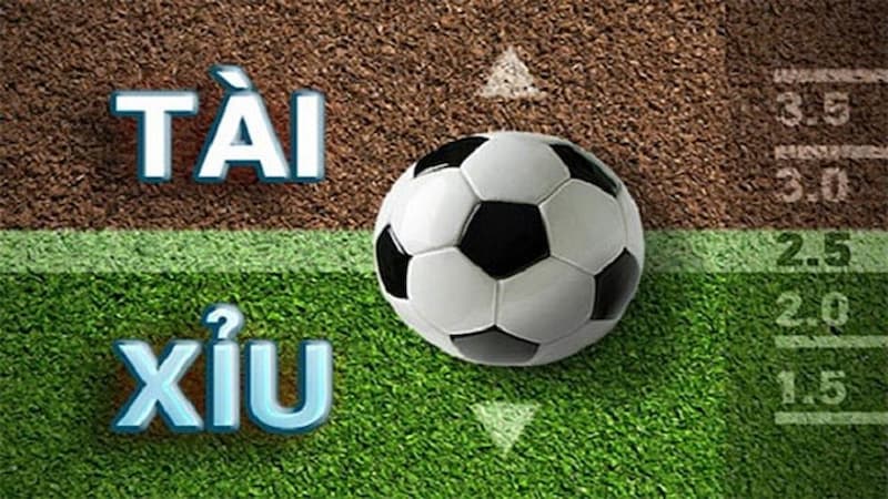 thuật ngữ cá độ bóng đá thuật ngữ cá độ bóng đá